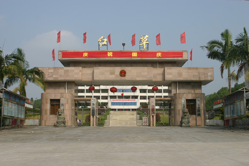红草镇政府办公大楼