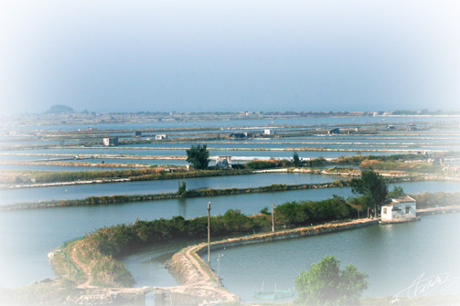 马宮渔塭