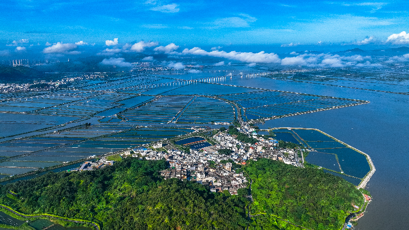 《晨洲风情》 .jpg