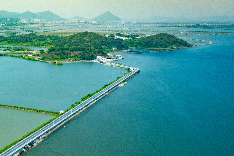 《指尖上的蚝岛》 .jpg