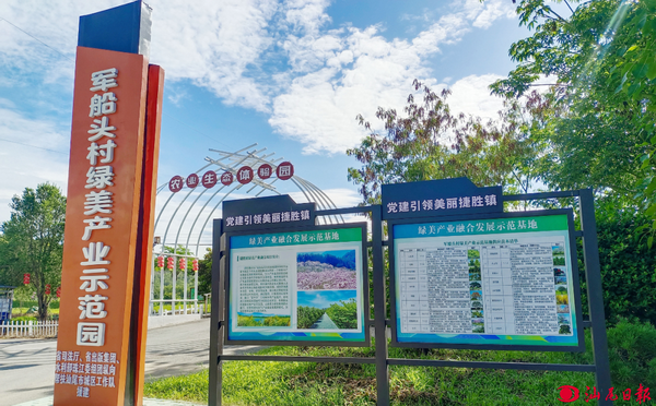 资源盘活焕生机！城区“百千万工程”三年攻坚点亮乡村振兴路