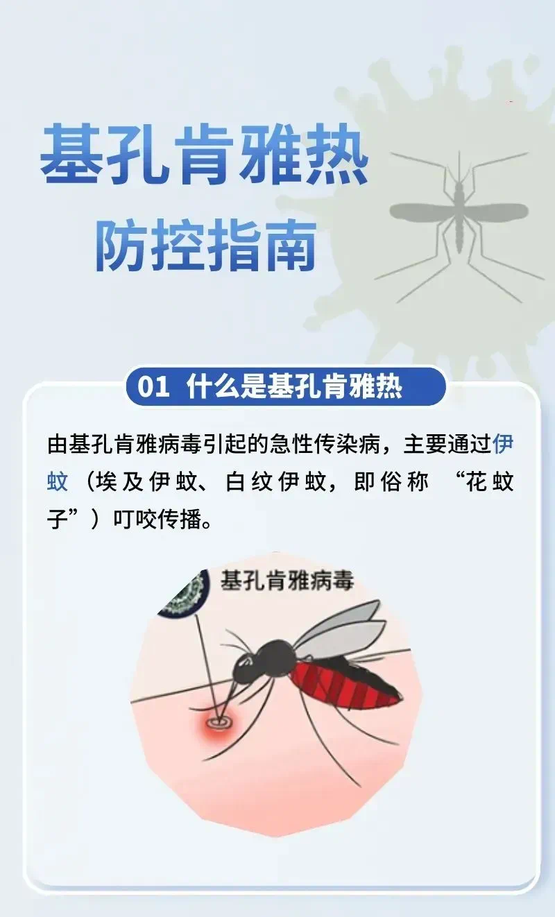 微信图片_20250729085811.png