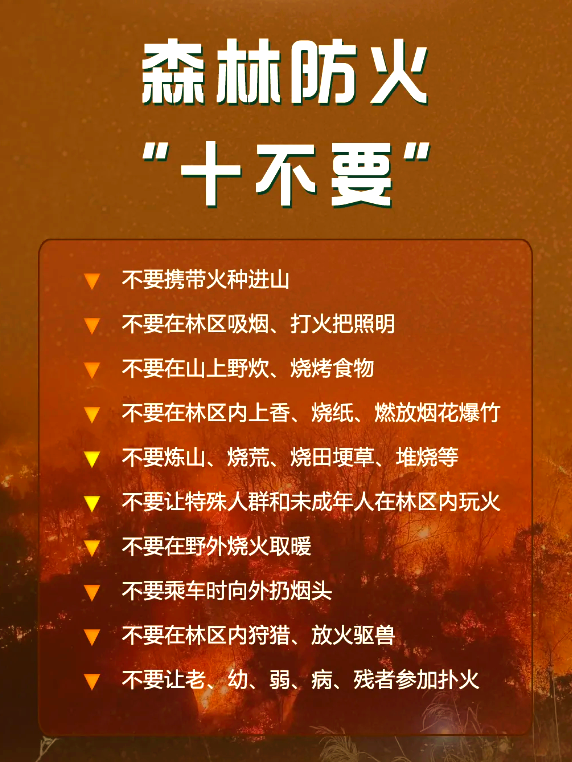 森林防火“十不要”.png