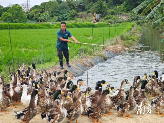    通讯员   供图