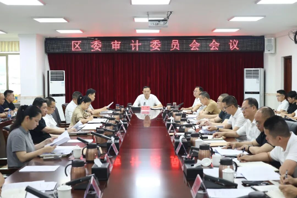 区委常委会召开会议 认真学习贯彻习近平总书记重要讲话重要指示精神 研究推进审计工作