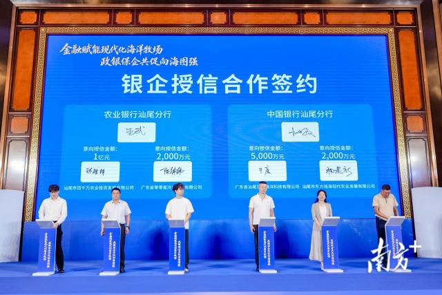    通讯员   供图