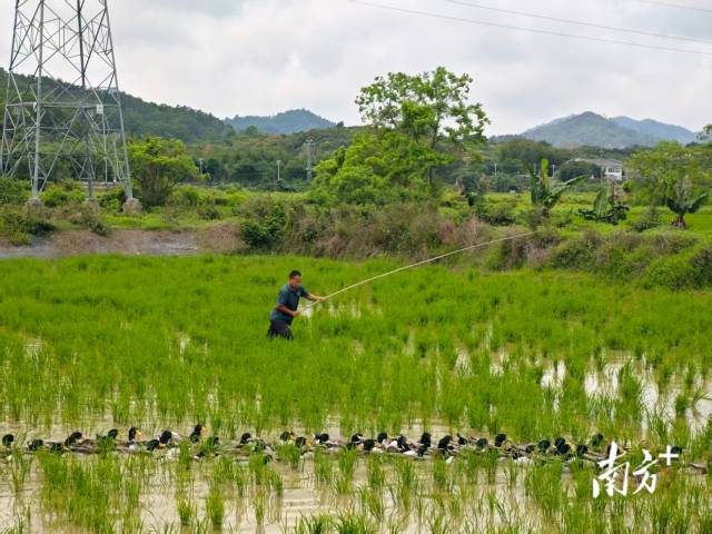    通讯员   供图
